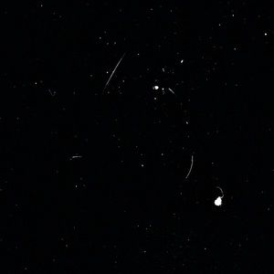 Meet your Posher, Becca